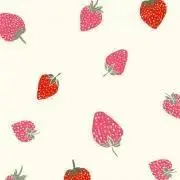 ここの画像