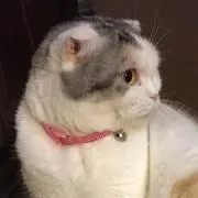 ミンちゃん