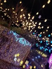 まるまるの画像