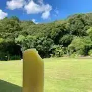 お江戸の黒鷹の画像