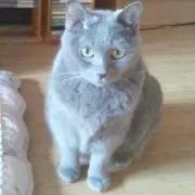 Kumi