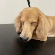 みうママの画像