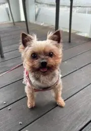 みるこの画像