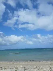 Michelangeloの画像