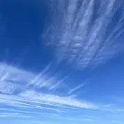 ダルメシアンの画像
