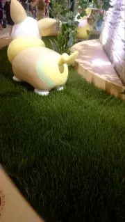 ほしきらの画像
