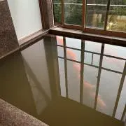 タオの画像
