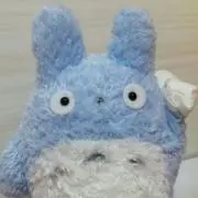 ★柚★