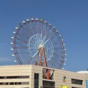 きなこもちの画像