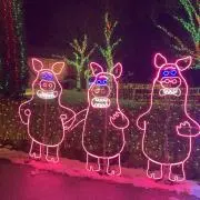 おにぎり※即購入⭕️の画像