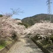 NaoTama♪