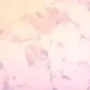 てゃの画像