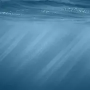 しびこ