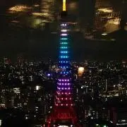 イチゴの画像