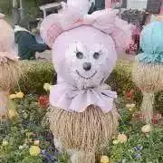 Image of ♡♡♡