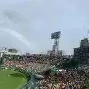 スヌの画像