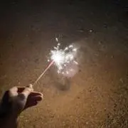 りんごの画像