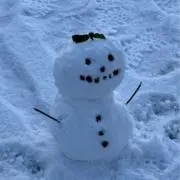 よつばの画像