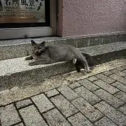 ぴなっぷ