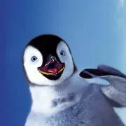 ペンギン