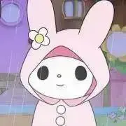 totoの画像