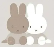 NANAの画像