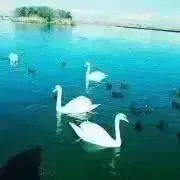 SAYAKAママ❤️の画像