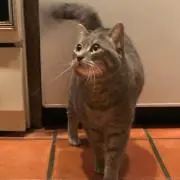 あち