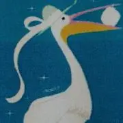 ペリカンの画像