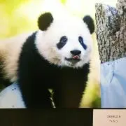 ひこわん