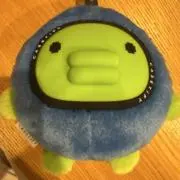 こいの画像