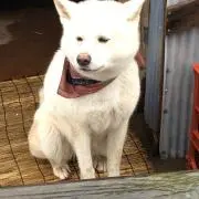 ぽぽ⭐︎断捨離中⭐︎の画像