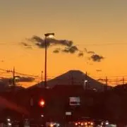 zedの画像