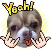 バディ
