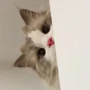 ❤︎の画像