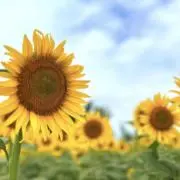 e♡の画像