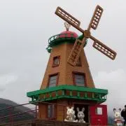 ちぃの画像