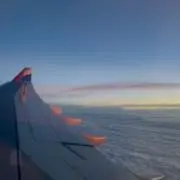 ヒジキの画像