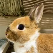そゆ。