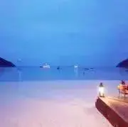 タロウの画像