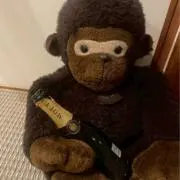 kinchanの画像
