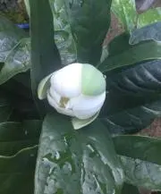 断捨離屋