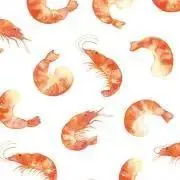 ペリカン屋の画像
