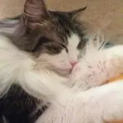 じょー