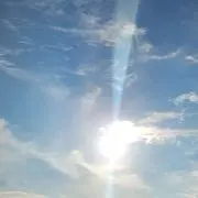 あいあいの画像