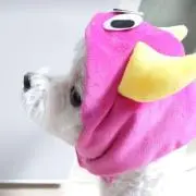 みー