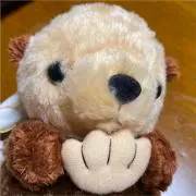 おでーんの画像