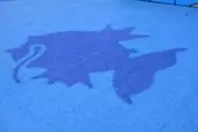 どるじの画像