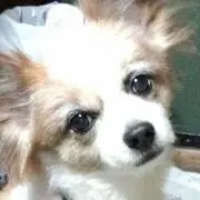 エレノア