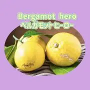 ベルガモットheroの画像
